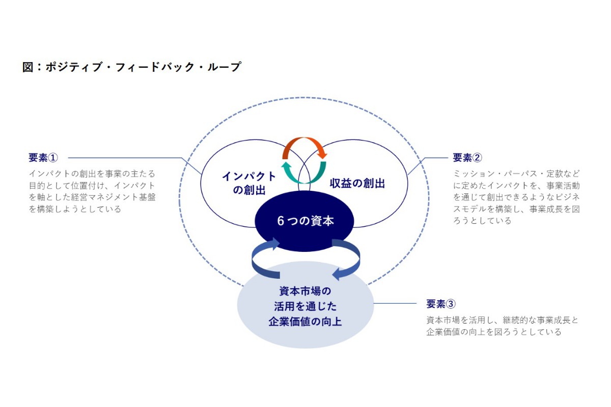 （出所）インパクト企業の資本市場における情報開示及び対話のためのガイダンス第１版