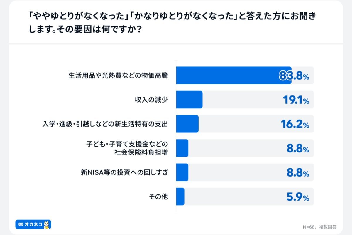 （出所）「オカネコ NISAによる家計圧迫の実態調査」