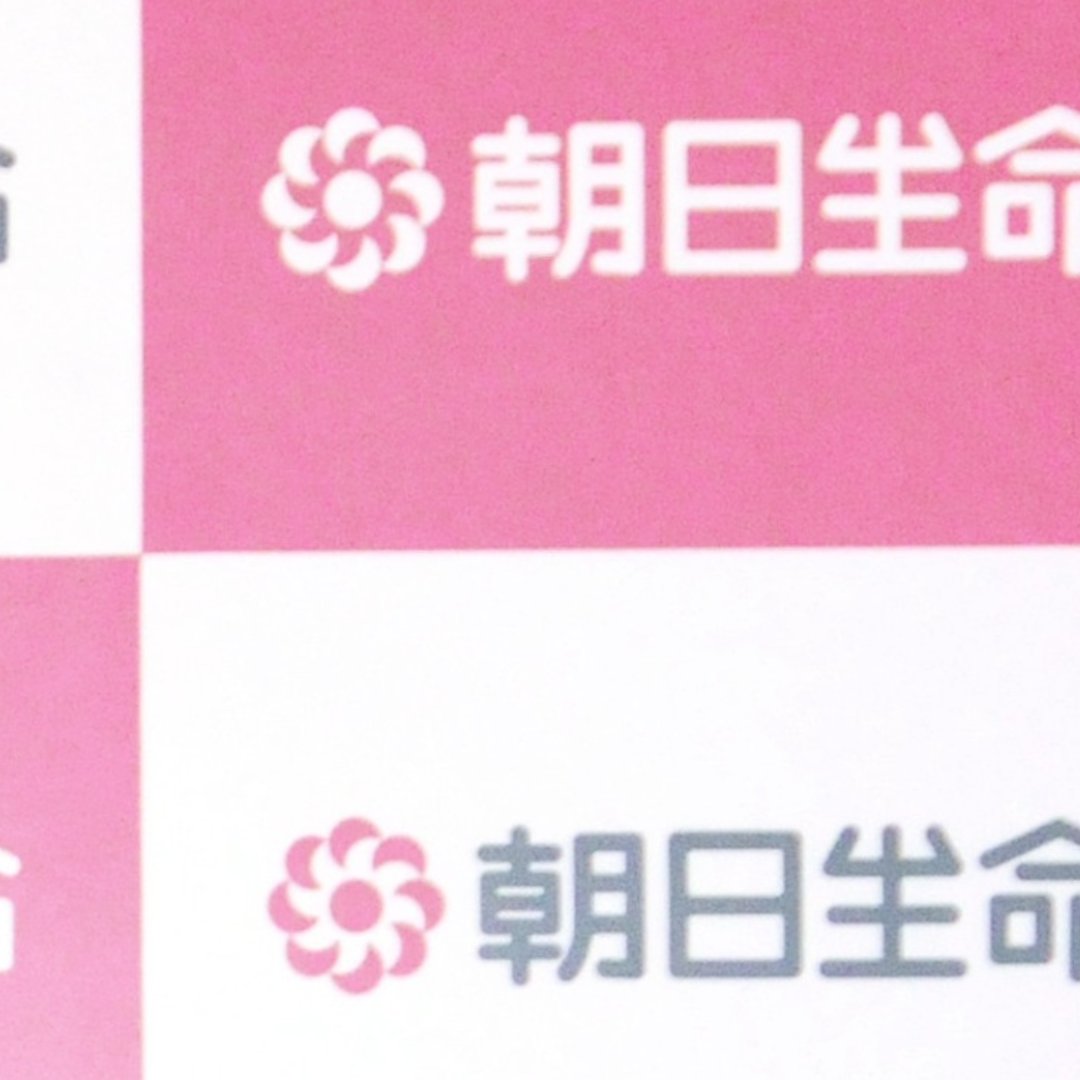 中堅生保、海外と新分野に活路